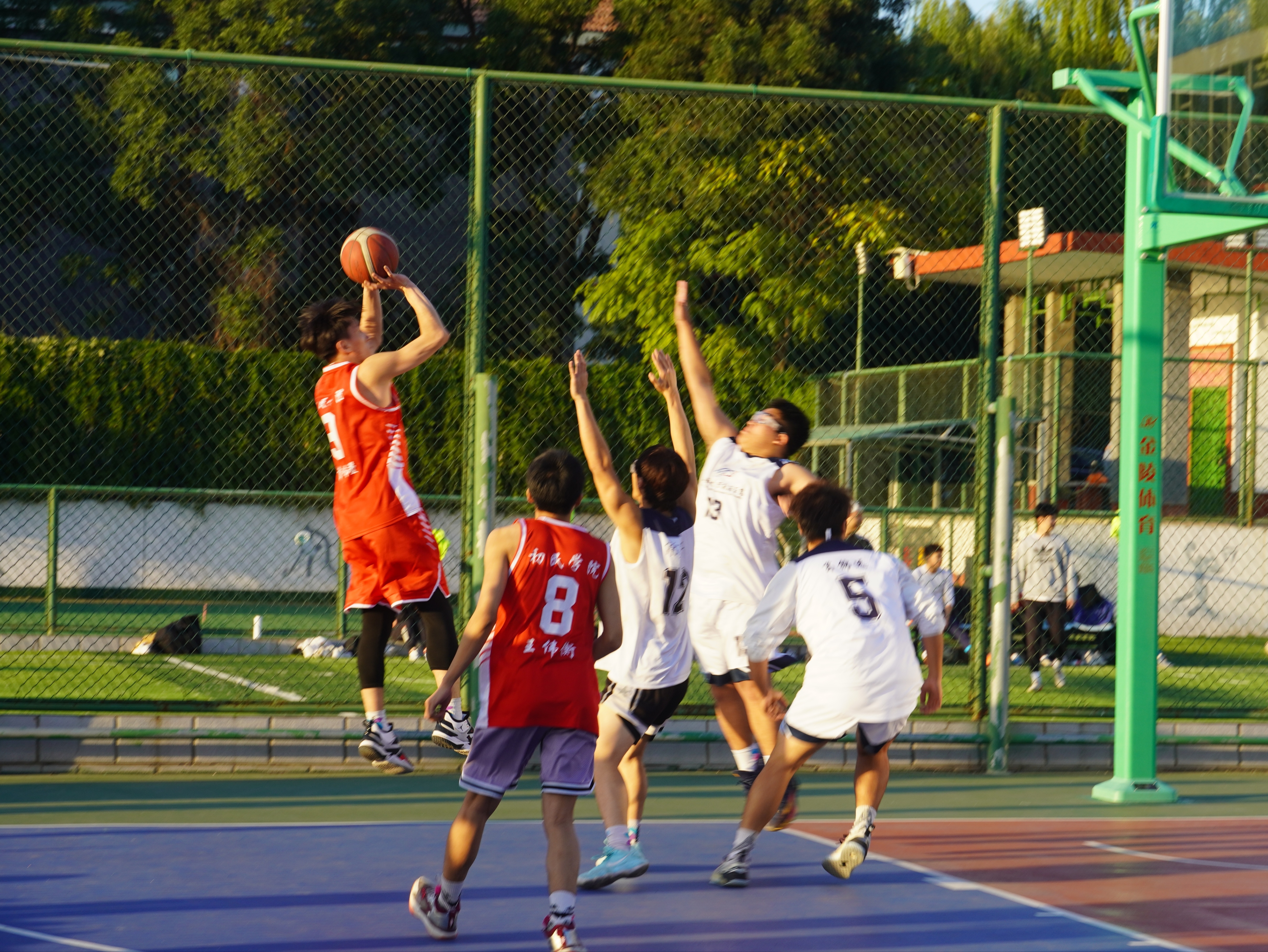 热血沸腾：球场上的各种精彩瞬间让人热血澎湃的简单介绍