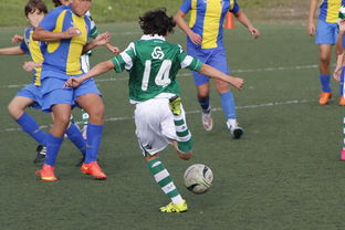 爱游戏-中国足球超级联赛开启新赛季，豪强争霸，中国足球超级联赛杯